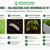 Objawy ziemiórek: więdnięcie roślin, żółknięcie liści, zahamowanie wzrostu. Zwalczaj muszki i larwy.