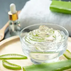 Aloes z doniczki: Jak bezpiecznie używać w pielęgnacji i zdrowiu?