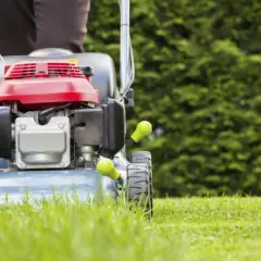 Kosiarka z napędem: Jak działa i jaki wybrać? Poradnik eksperta