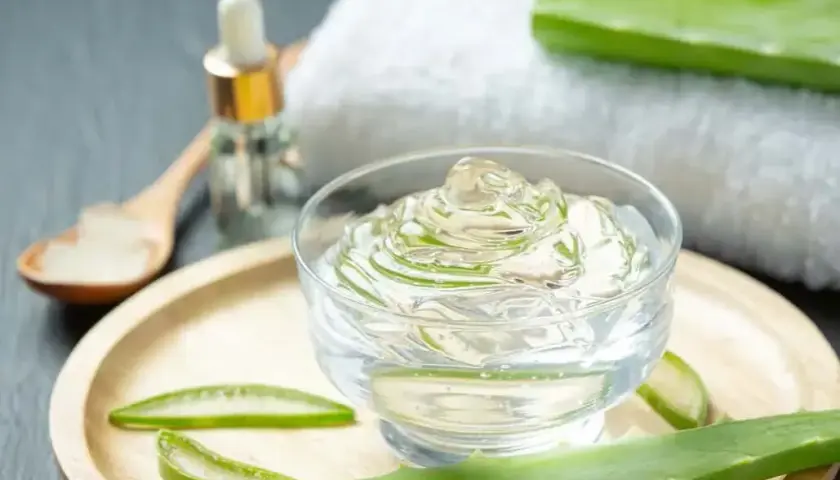 Aloes z doniczki: Jak bezpiecznie używać w pielęgnacji i zdrowiu?