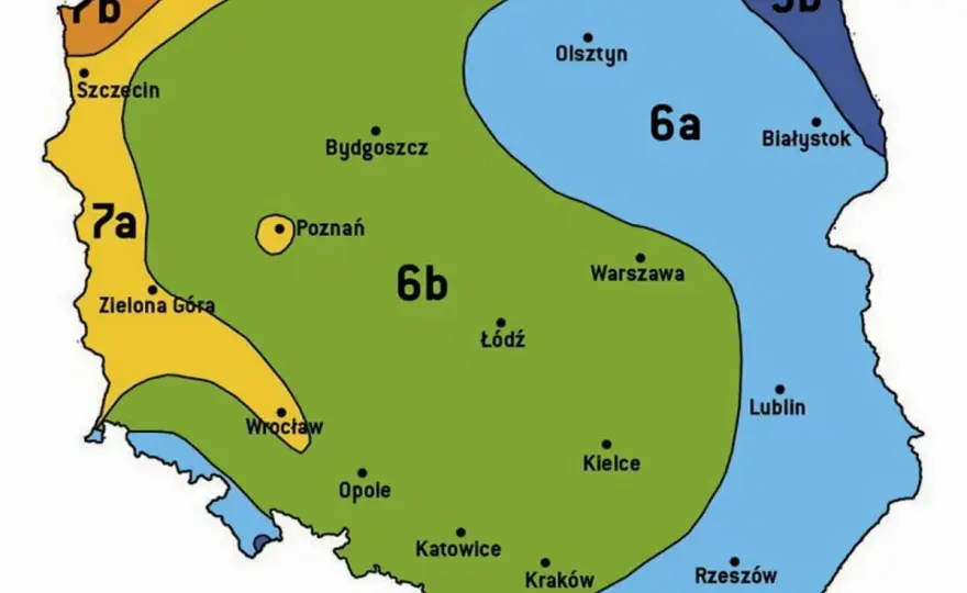 Strefy mrozoodporności roślin - Jak czytać i stosować w ogrodzie?