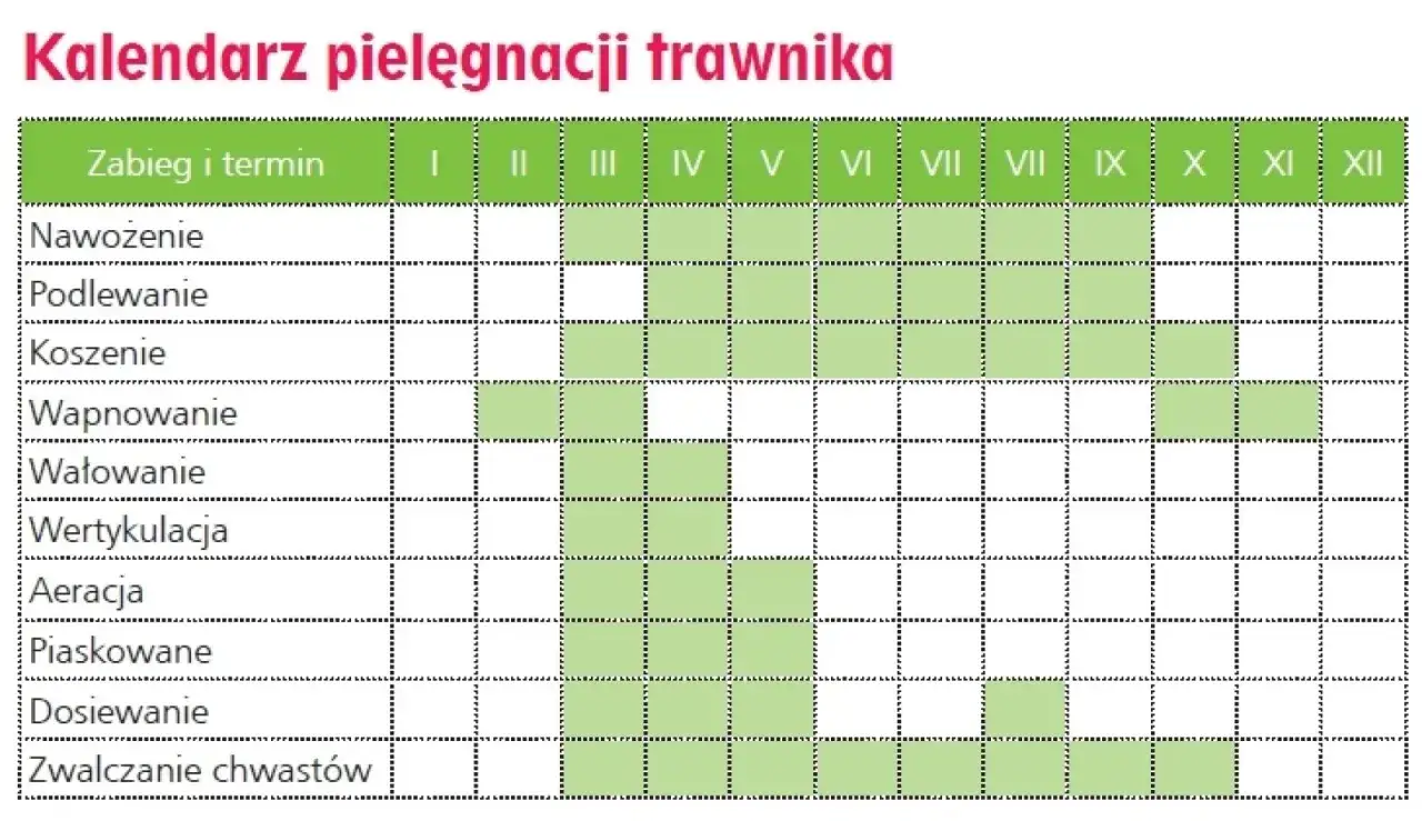 kalendarz wertykulacji trawnika wiosna jesień