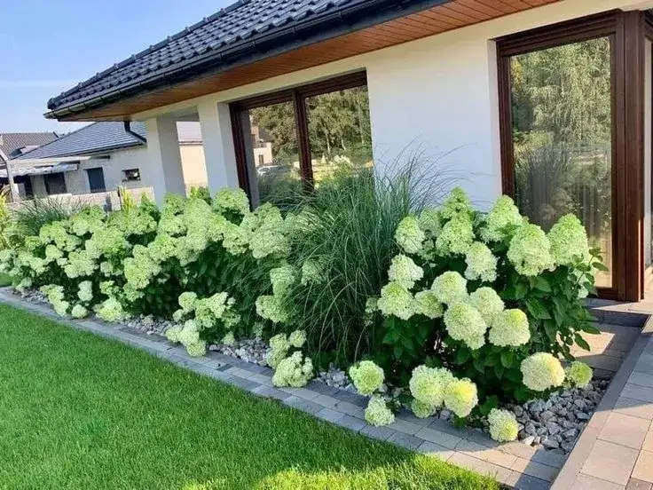 przygotowanie stanowiska dla hortensji bukietowej